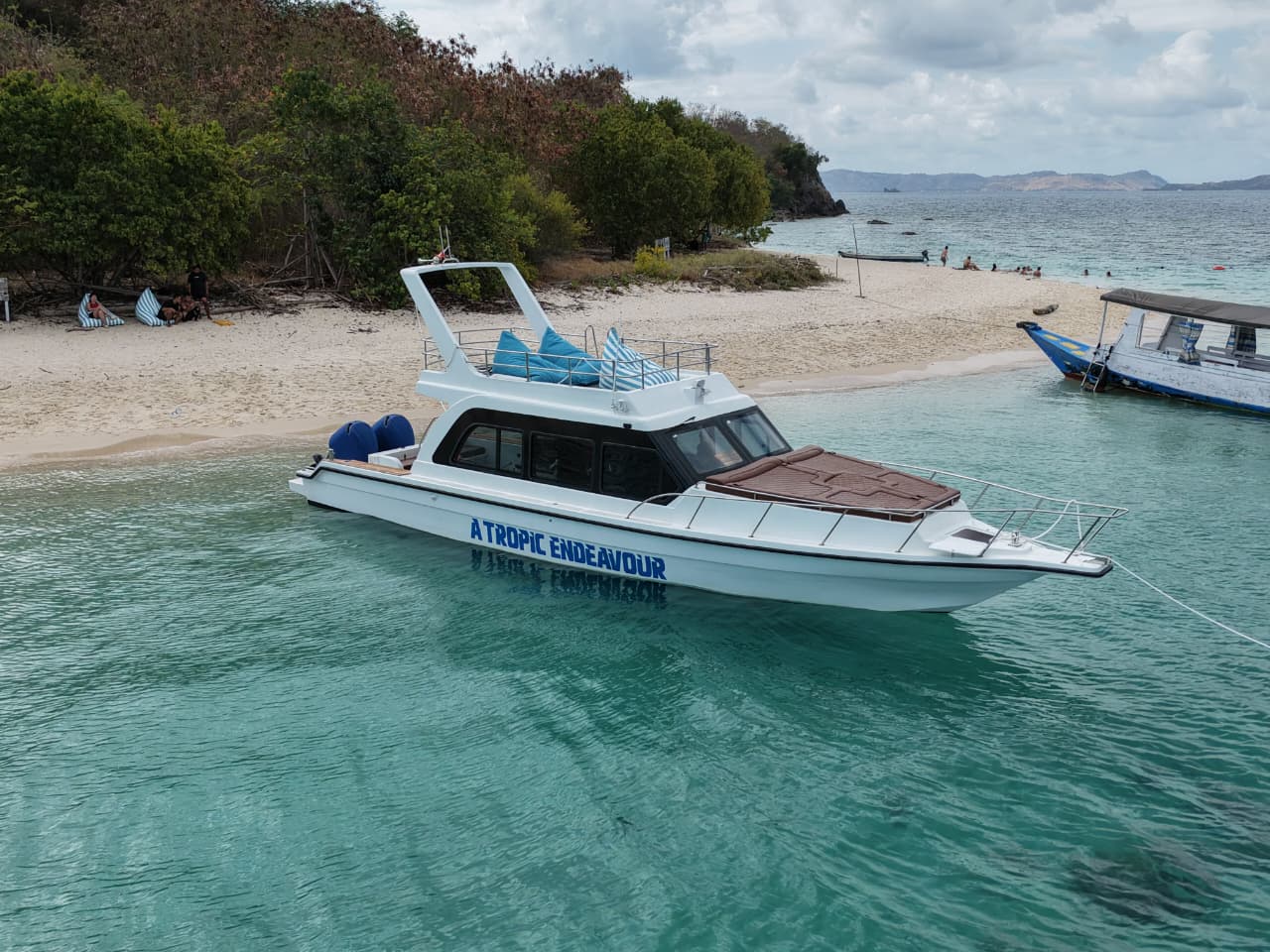 A Tropic Endeavour